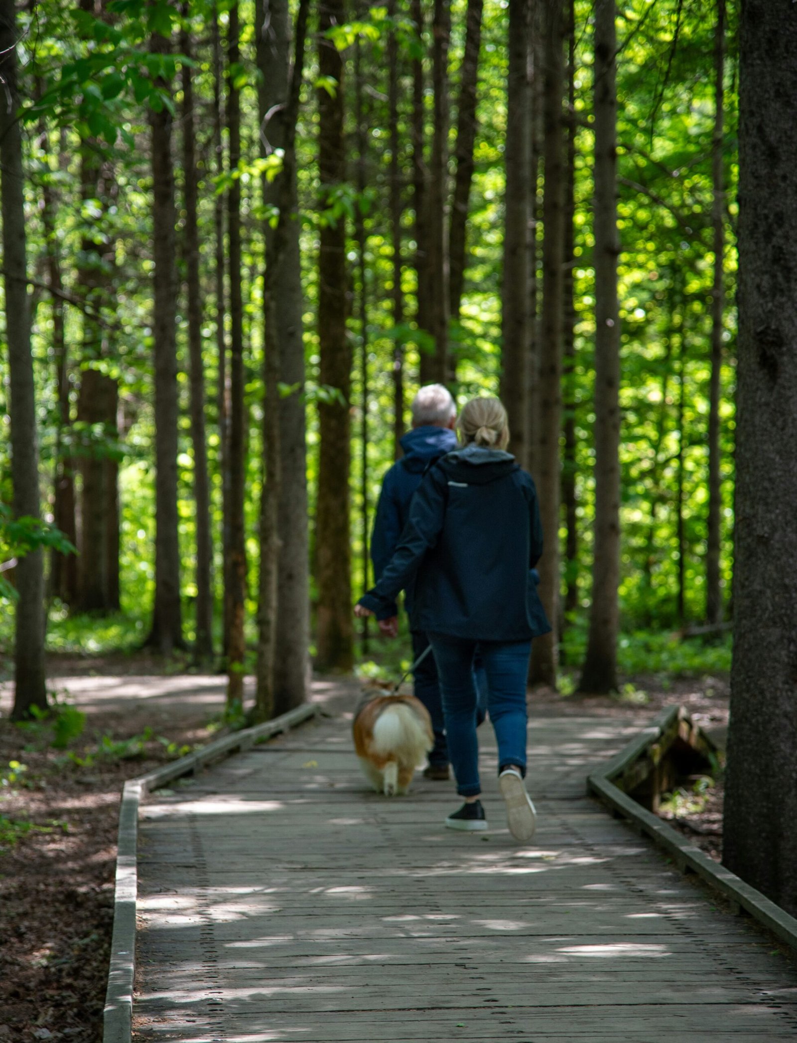 a man and a woman walking a dog in the woods